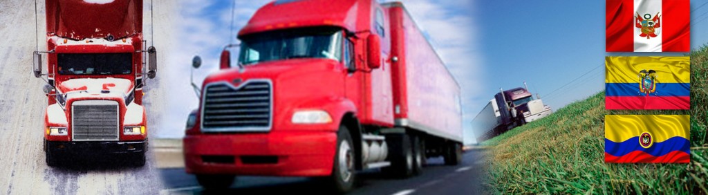 Servicios de transporte internacional de carga puerta a puerta